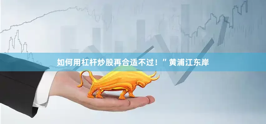 如何用杠杆炒股再合适不过！”黄浦江东岸