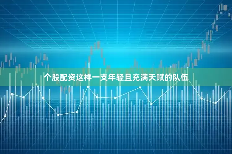 个股配资这样一支年轻且充满天赋的队伍