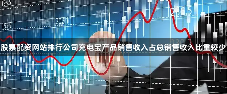 股票配资网站排行公司充电宝产品销售收入占总销售收入比重较少
