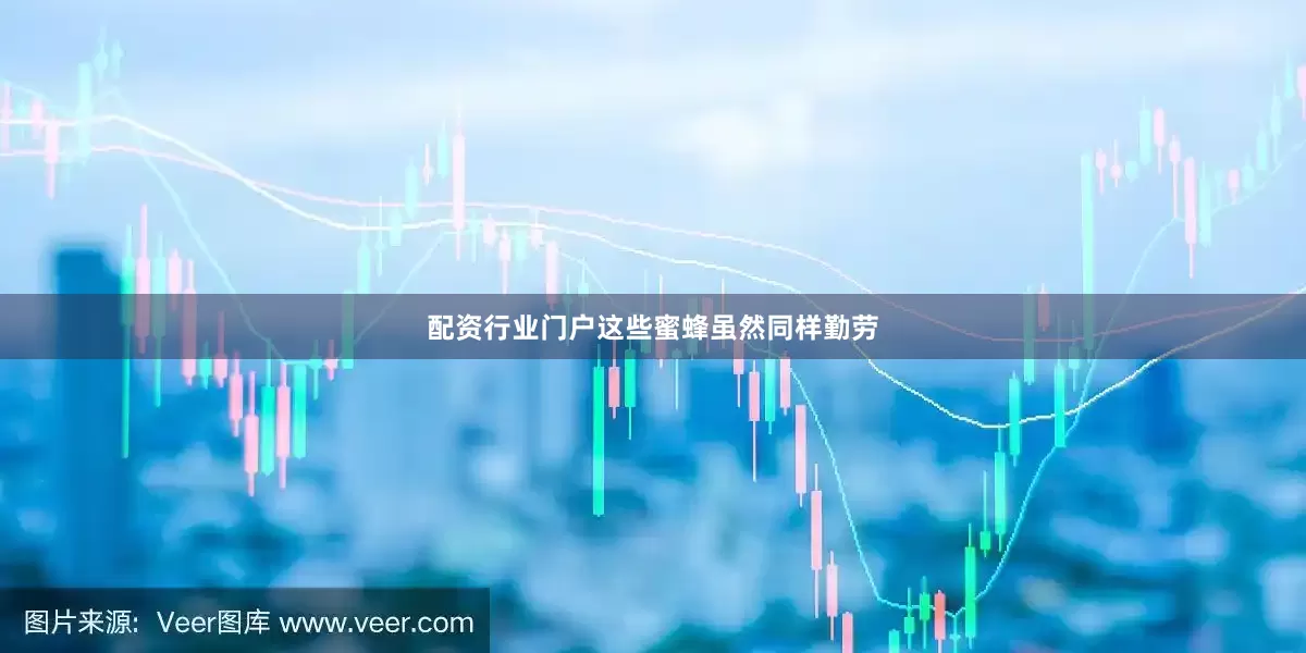 配资行业门户这些蜜蜂虽然同样勤劳