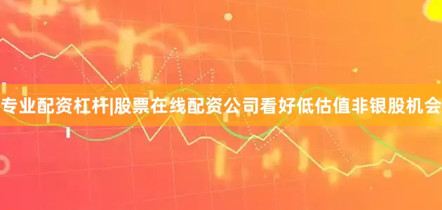 专业配资杠杆|股票在线配资公司看好低估值非银股机会