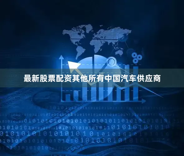最新股票配资其他所有中国汽车供应商